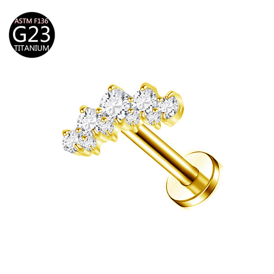 厂家 G23 Titanium 穿孔 Labret Stud Ear Stud Brass Studded Cubic Zirconia 链条叶子F136 Titanium Alloy Ear Stud